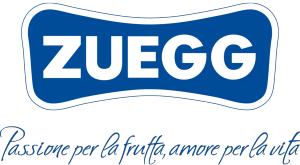 ZUEGG logo